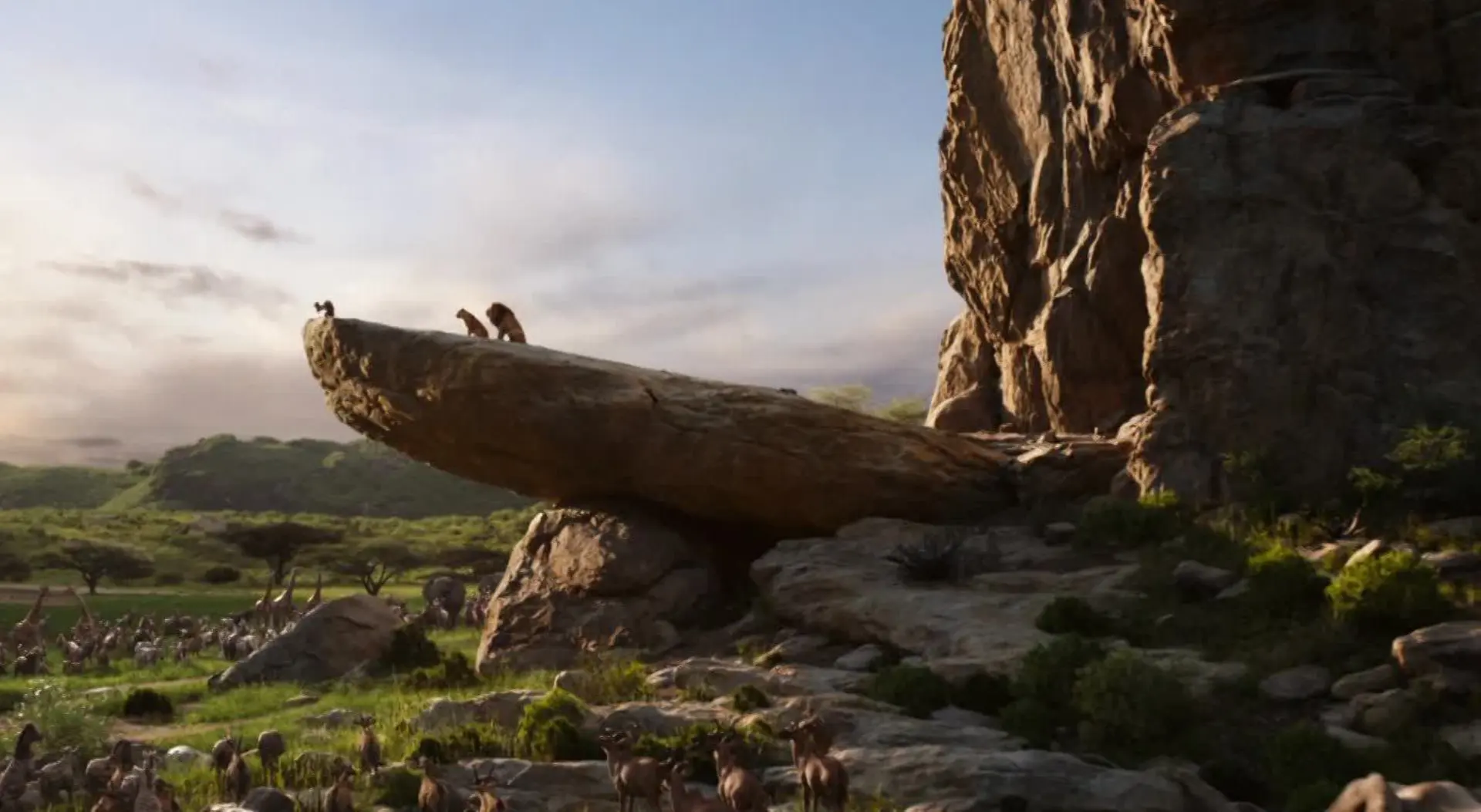 article live action image